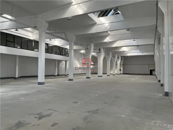 Spațiu industrial Jilava - poza 1