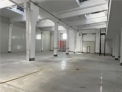 Vanzare depozit/hala/spatiu industrial Jilava - Giurgiului, Ilfov - foto 2