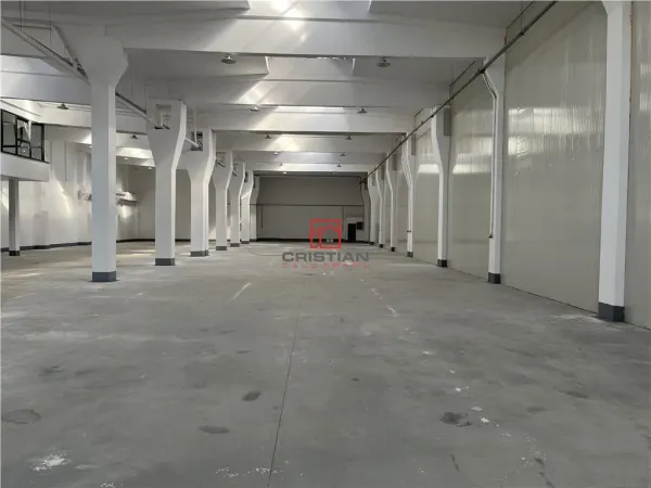 Spațiu industrial Jilava - poza 6
