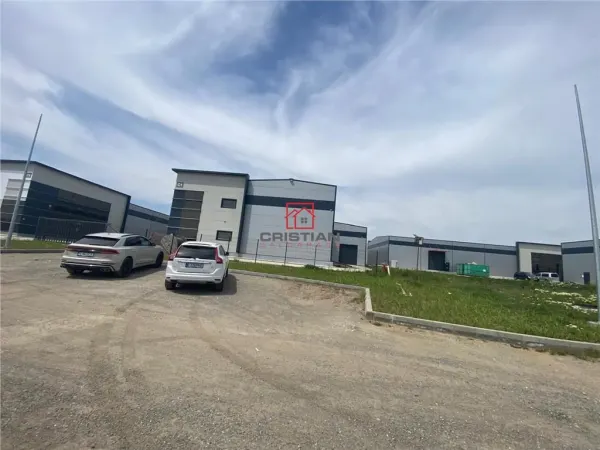 Spațiu industrial Mogoșoaia - poza 4