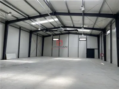 Vanzare depozit/hala/spatiu industrial Mogosoaia - Chitila, ILFOV - foto 6