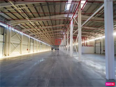 Inchiriere depozit/hala/spatiu industrial Theodor Pallady - Drumul Intre Tarlale - Oxigenului - foto 10