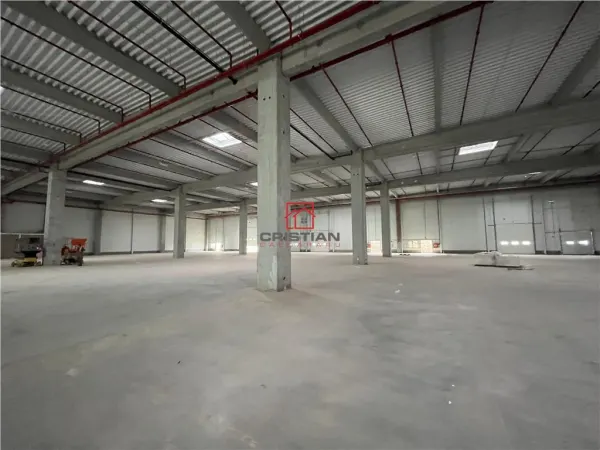 Spațiu industrial Ștefăneștii de Jos - poza 13