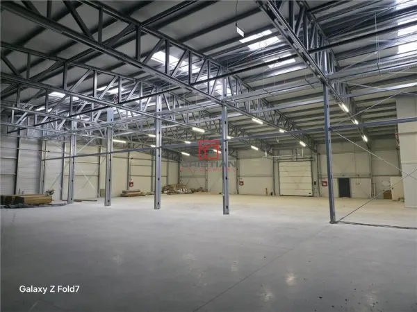 Spațiu industrial Mogoșoaia - poza 16