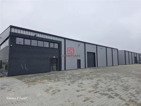 Spațiu industrial Mogoșoaia - poza 5