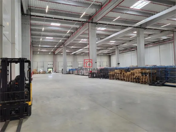 Spațiu industrial Mogoșoaia - poza 2