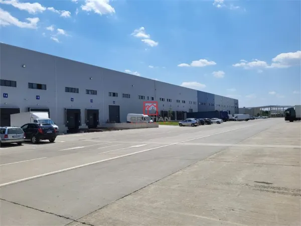 Spațiu industrial Mogoșoaia - poza 3