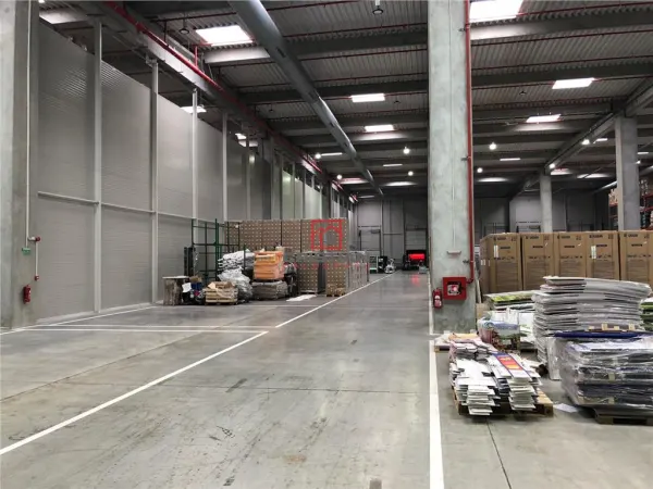 Spațiu industrial Mogoșoaia - poza 5