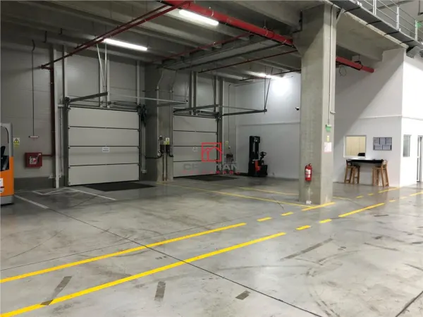 Spațiu industrial Mogoșoaia - poza 9