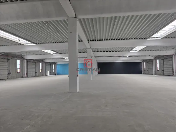 Spațiu industrial Chitila - poza 2