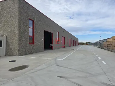 Spațiu industrial Chitila - poza 17