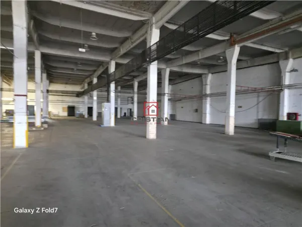 Spațiu industrial Buftea - poza 16