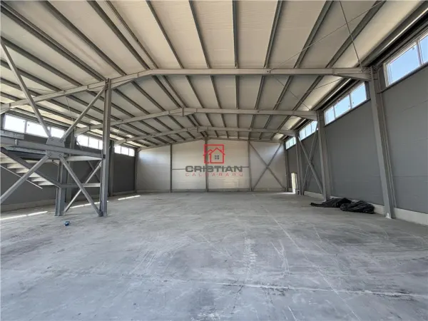Spațiu industrial București - poza 11