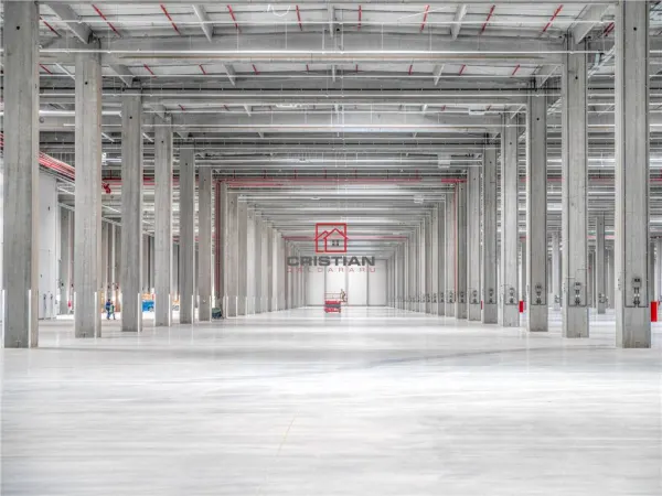 Spațiu industrial Bolintin-Deal - poza 3