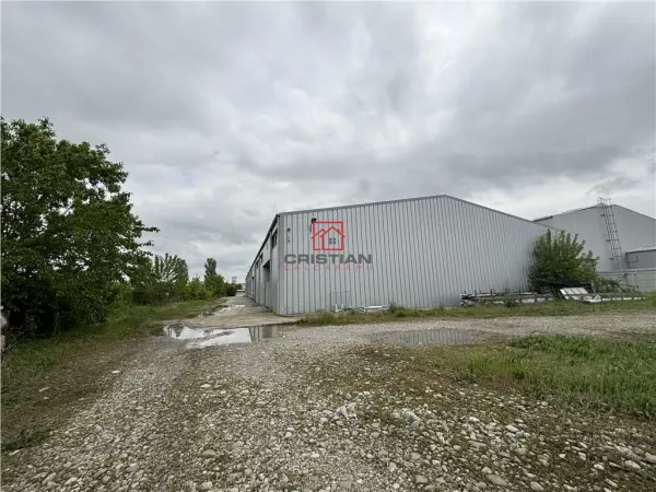 Spațiu industrial Otopeni - poza 2