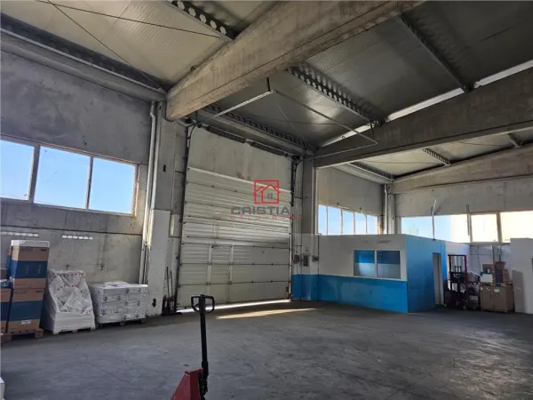 Spațiu industrial Domnești - poza 3