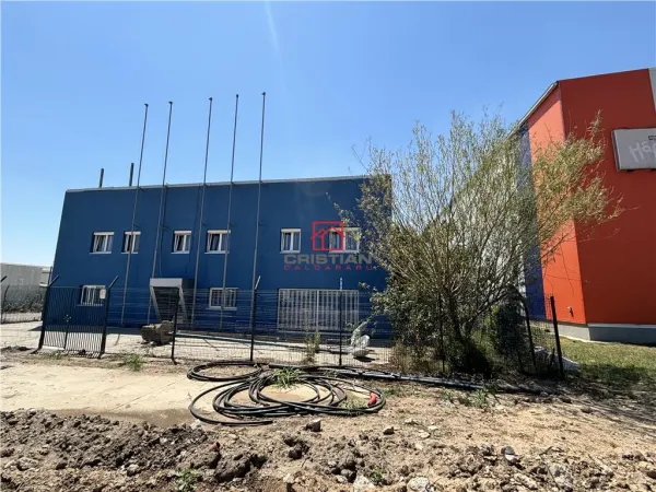 Spațiu industrial Domnești - poza 4