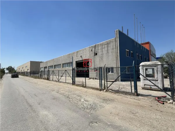 Spațiu industrial Domnești - poza 6