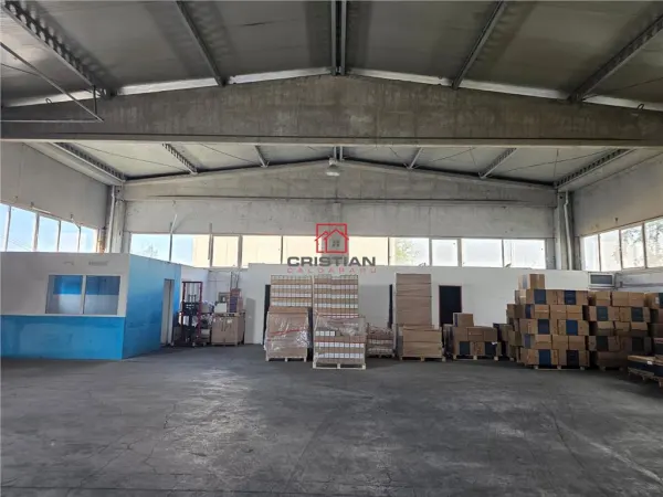 Spațiu industrial Domnești - poza 7
