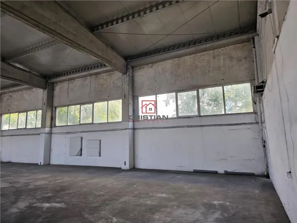 Spațiu industrial Domnești - poza 8