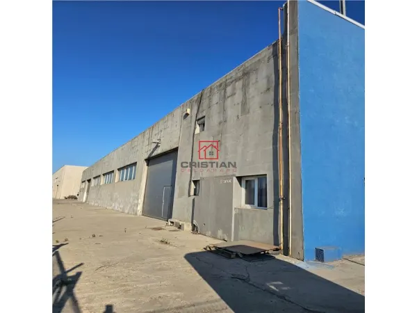 Spațiu industrial Domnești - poza 9