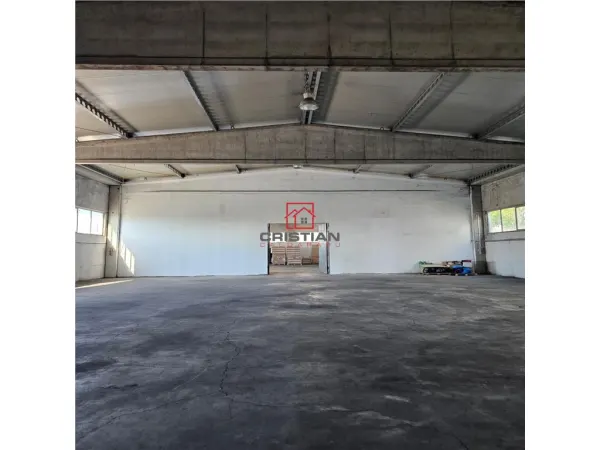 Spațiu industrial Domnești - poza 10