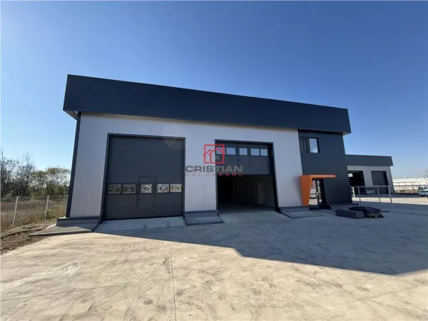 Spațiu industrial Chitila - poza 11