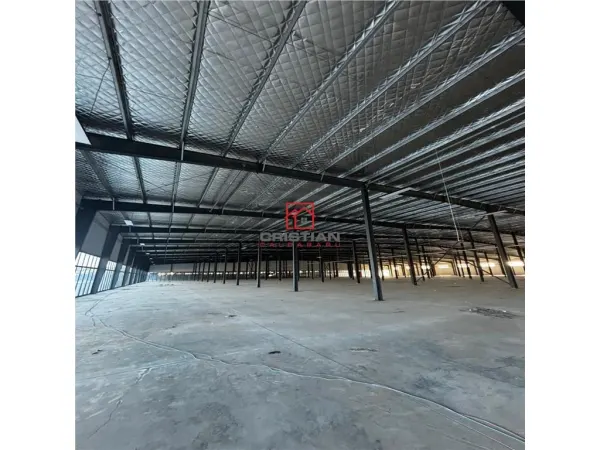 Spațiu industrial Afumați - poza 12
