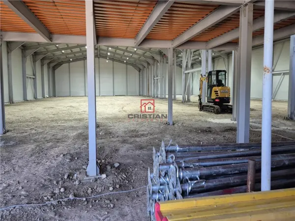 Spațiu industrial Otopeni - poza 2