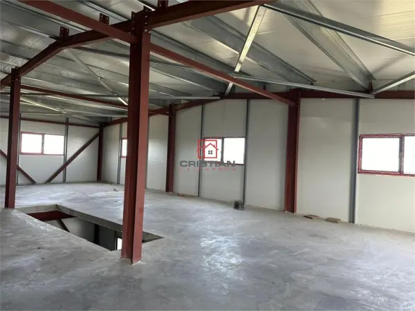 Spațiu industrial București - poza 10