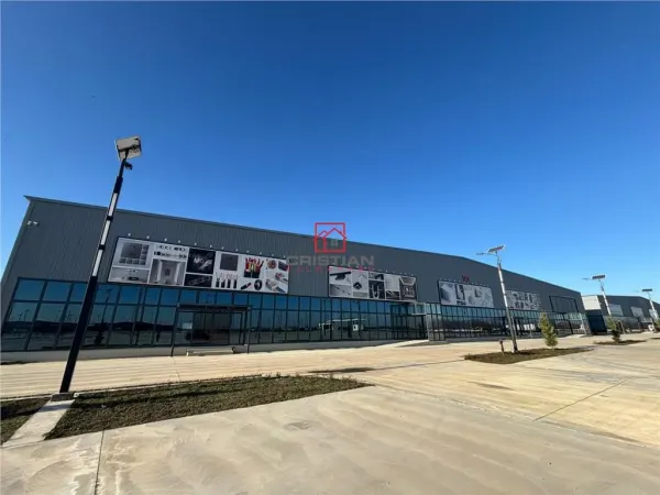 Spațiu industrial Afumați - poza 18