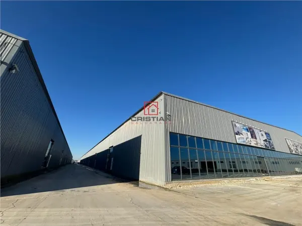 Spațiu industrial Afumați - poza 25