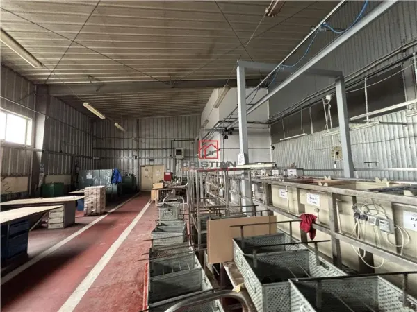 Spațiu industrial Măgurele - poza 15