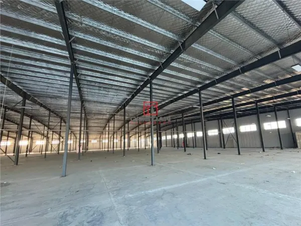 Spațiu industrial Afumați - poza 2