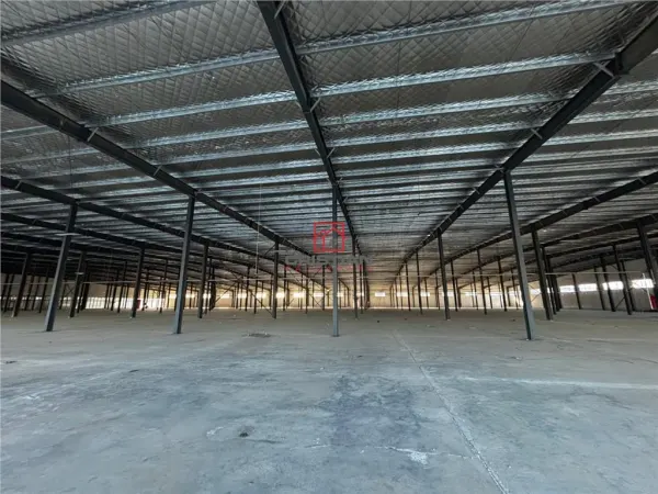 Spațiu industrial Afumați - poza 5