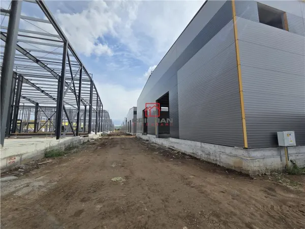 Spațiu industrial Chitila - poza 5