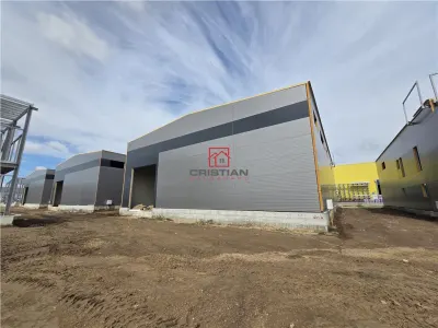 Spațiu industrial Chitila - poza 9