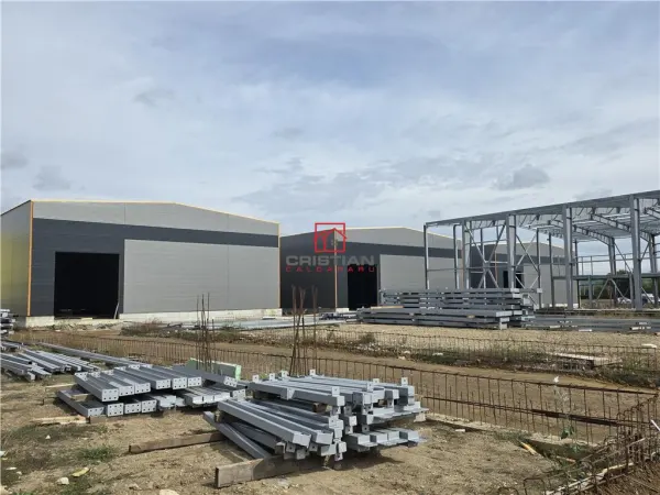Spațiu industrial Chitila - poza 11