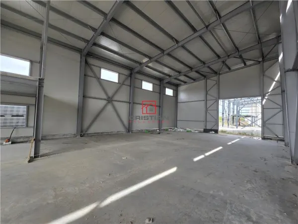 Spațiu industrial Chitila - poza 13