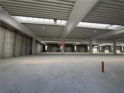 Vanzare depozit/spatiu industrial/hala Chitila - Rudeni, ILFOV - Chitila