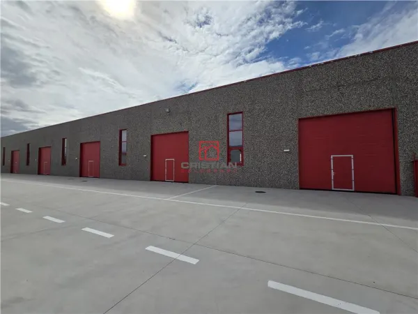 Spațiu industrial Chitila - poza 1
