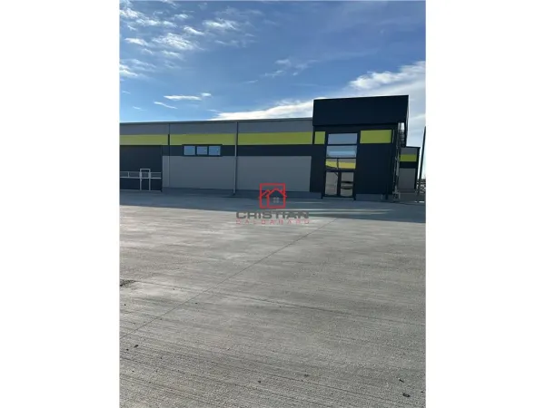 Spațiu industrial Chiajna - poza 11