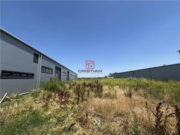 Spațiu industrial Chitila - poza 2