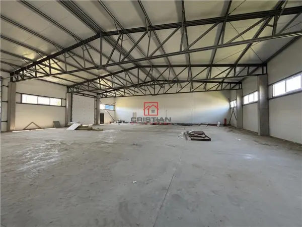 Spațiu industrial Chitila - poza 18