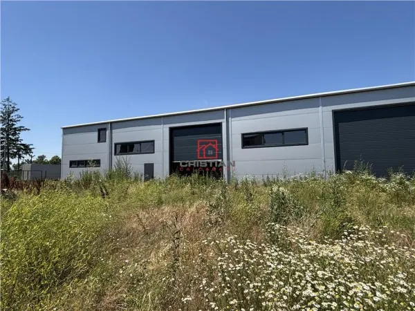 Spațiu industrial Chitila - poza 4