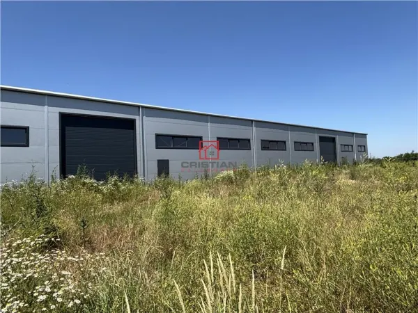 Spațiu industrial Chitila - poza 5