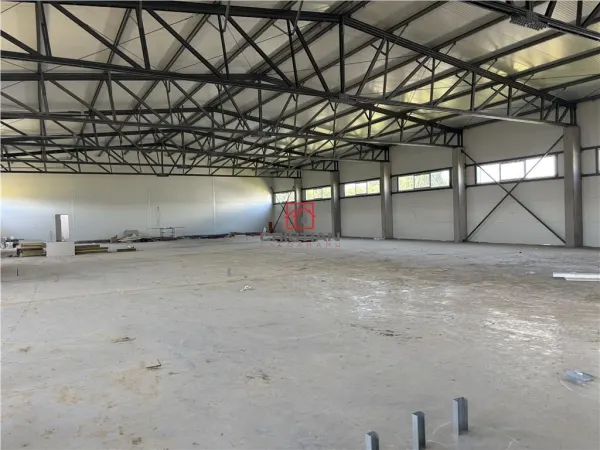 Spațiu industrial Chitila - poza 8