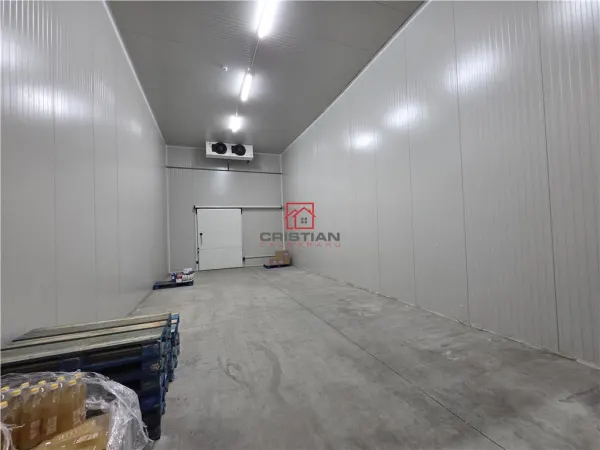 Spațiu industrial Otopeni - poza 26