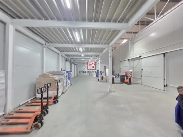 Spațiu industrial Otopeni - poza 28