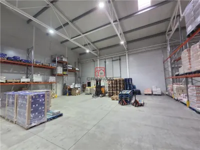 Spațiu industrial Otopeni - poza 30